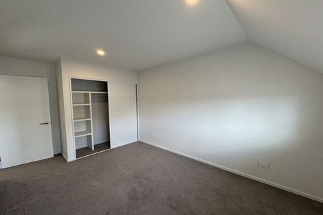 Photo of property in 2/17 Hornbrook Street, Waltham, Christchurch, 8023