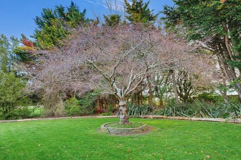 Photo of property in 1354 Rangitikei Line, Newbury, Palmerston North, 4475