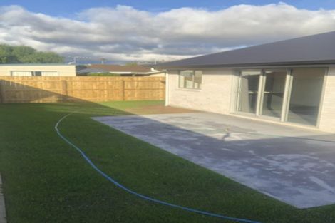 Photo of property in 155 Howick Road, Witherlea, Blenheim, 7201