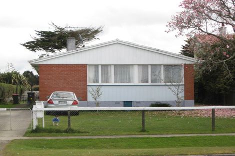 Photo of property in 125 Hamlet Street, Stratford, 4332