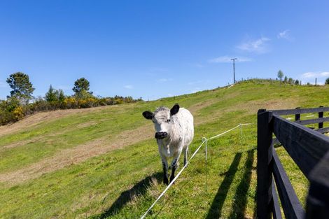 Photo of property in 74 Otake Road, Marotiri, Taupo, 3377