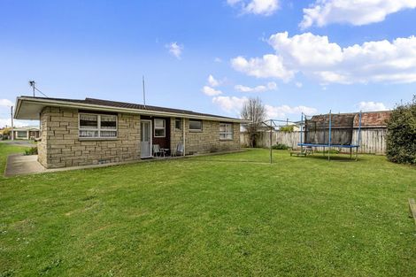 Photo of property in 63 Studholme Street, Morrinsville, 3300