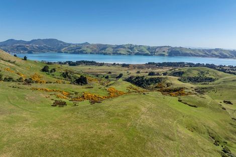 Photo of property in 452 Harington Point Road, Lower Portobello, Dunedin, 9077