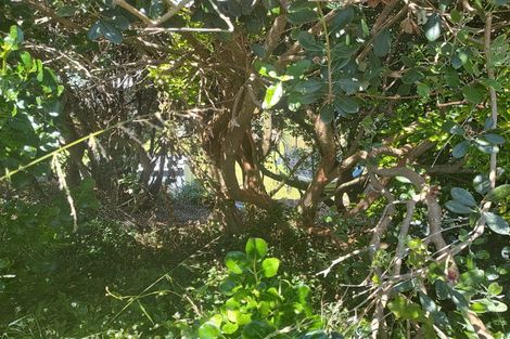 Photo of property in 19 Toi Street, Tawhero, Whanganui, 4501