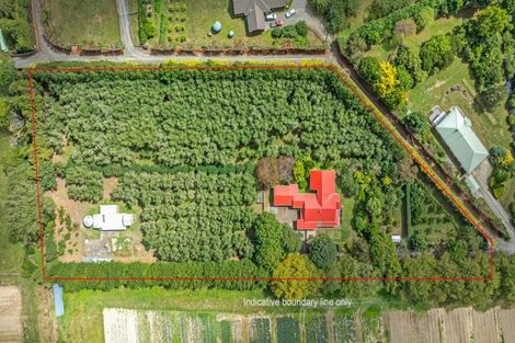 Photo of property in 49 Joblins Road, Levin, 5571