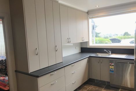 Photo of property in 40 Falcon Street, Kaikorai, Dunedin, 9010