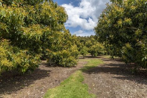 Photo of property in 63a Snodgrass Road, Te Puna, Tauranga, 3174