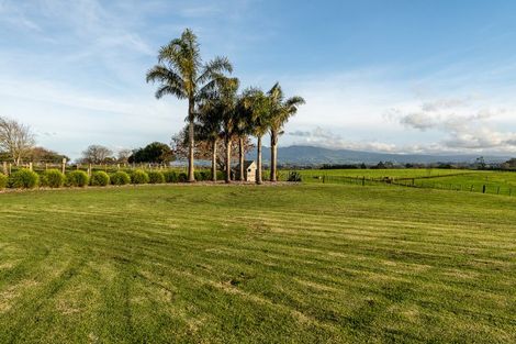 Photo of property in 310 Gillard Road, Ngahinapouri, Ohaupo, 3882