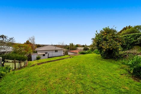 Photo of property in 281 Tukapa Street, Hurdon, New Plymouth, 4310