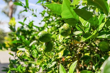 Photo of property in 15 Kokako Place, Horahora, Whangarei, 0110