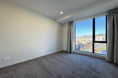 Photo of property in Vsp South, 802/168 Victoria Street, Te Aro, Wellington, 6011