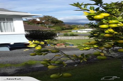 Photo of property in 32 Hill Street, Paeroa, 3600