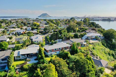 Photo of property in 17a Roderick Street, Otumoetai, Tauranga, 3110