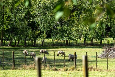 Photo of property in 326 Upper Waiwera Road, Puhoi, Silverdale, 0994