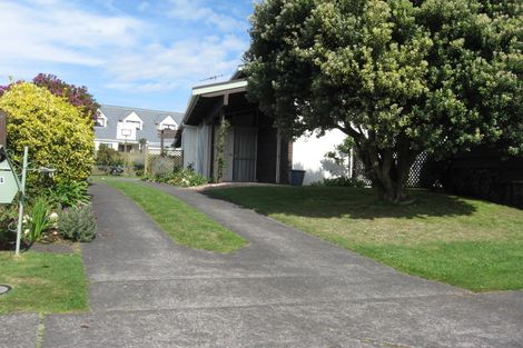 Photo of property in 14 Treadwell Street, Springvale, Whanganui, 4501
