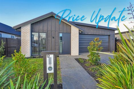 Photo of property in 12 Voight Avenue, Chartwell, Hamilton, 3210