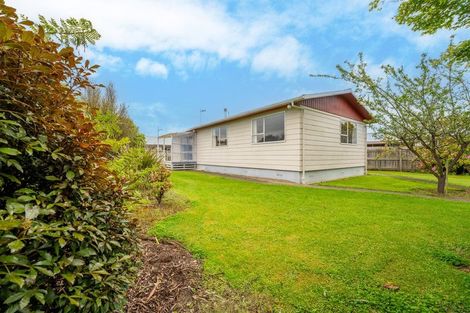 Photo of property in 17 Connolly Street, Geraldine, 7930