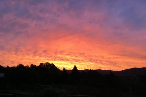 Photo of property in 18 Donegal Place, Katikati, 3129