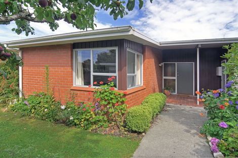 Photo of property in 83 Titoki Street, Lansdowne, Masterton, 5810