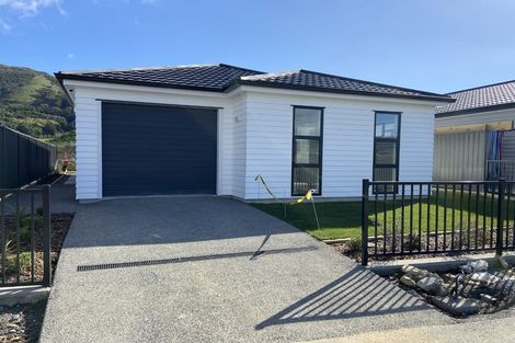 Photo of property in 59 Karearea Avenue, Kenepuru, Porirua, 5022