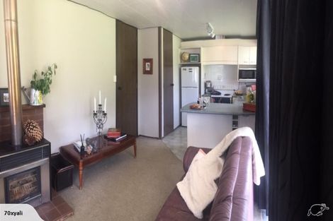 Photo of property in 15 Ness Street, Naseby, 9396