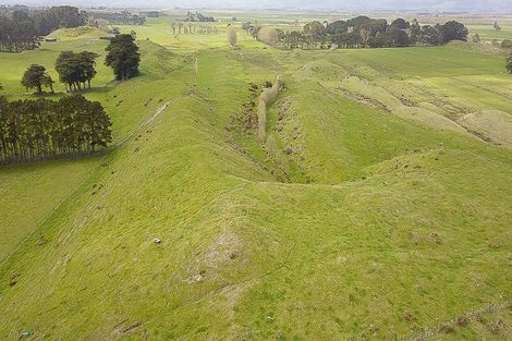 Photo of property in 338 Foxton Shannon Road, Foxton, 4893