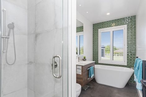 Photo of property in 423b Youngson Road, Whakamarama, Tauranga, 3179