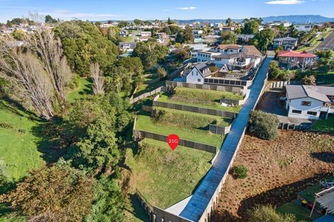 Photo of property in 21a Glenn Terrace, Otumoetai, Tauranga, 3110