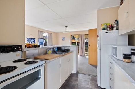 Photo of property in 20 Syndic Street, Cromwell, 9310