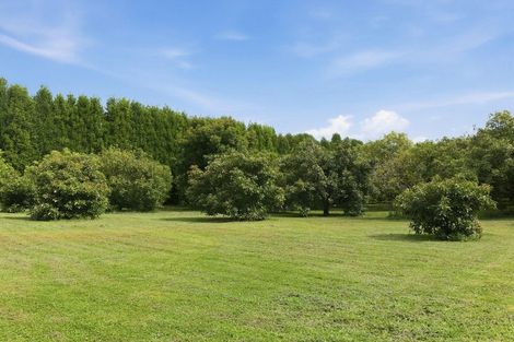 Photo of property in 151a Hereford Road, Oropi, Tauranga, 3173