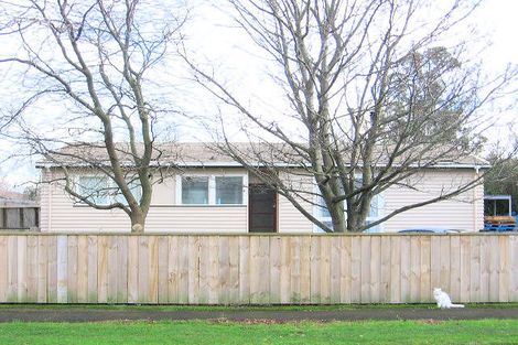 Photo of property in 111 Limbrick Street, Terrace End, Palmerston North, 4410