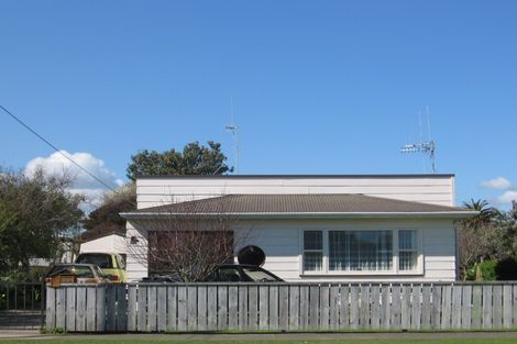 Photo of property in 12 Easton Street, Foxton, 4814