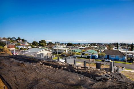 Photo of property in 77 Fulford Street, New Plymouth, 4310