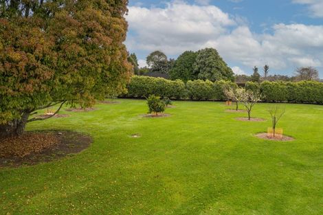 Photo of property in 132 Waipapa Road, Kerikeri, 0230