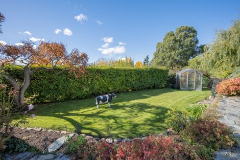 Photo of property in 22 Glencarron Street, Alexandra, 9320