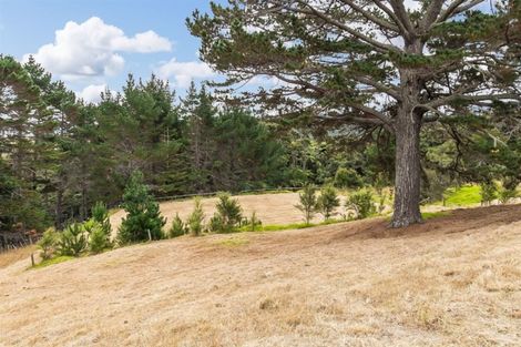 Photo of property in 58 Sheffield Road, Helensville, 0875