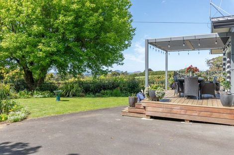 Photo of property in 313 Youngson Road, Whakamarama, Tauranga, 3179