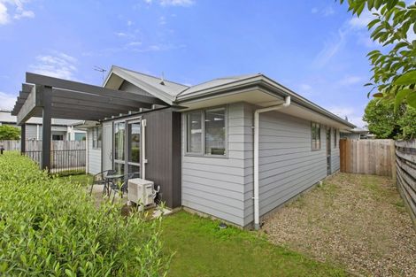 Photo of property in 1/34 Lyon Street, Frankton, Hamilton, 3204