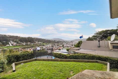 Photo of property in 51 Sidey Street, Calton Hill, Dunedin, 9012