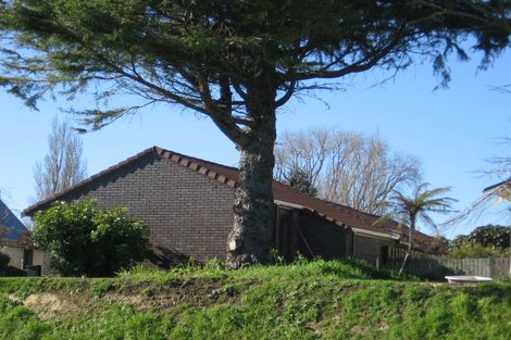 Photo of property in 336 Hukanui Road, Queenwood, Hamilton, 3210