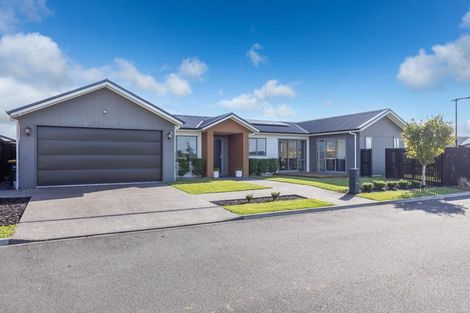Photo of property in 31 Couldsack Avenue, Chartwell, Hamilton, 3210