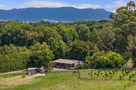 Photo of property in 78a Prestidge Road, Aongatete, Katikati, 3181