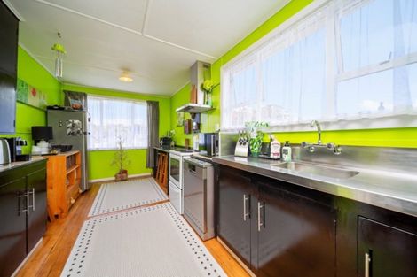 Photo of property in 17 Ajax Street, Stratford, 4332