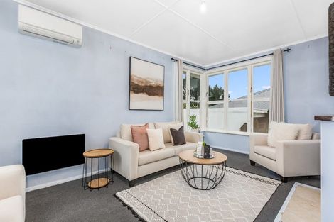 Photo of property in 12 Cornwall Crescent, Cannons Creek, Porirua, 5024