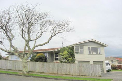 Photo of property in 164 Weraroa Road, Levin, 5510