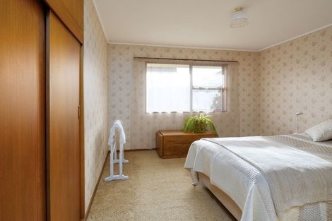 Photo of property in 36 Bringans Street, Alexandra, 9320