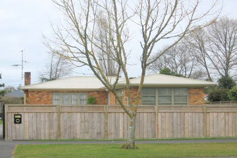 Photo of property in 16 Mcnicol Street, Fairfield, Hamilton, 3214