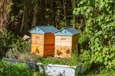 Photo of property in 7091 South Road, Warea, New Plymouth, 4381