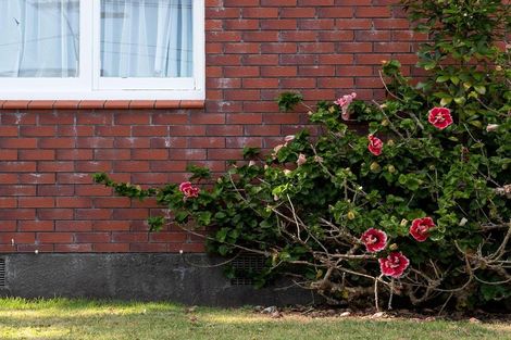 Photo of property in 67 Young Street, New Plymouth, 4310