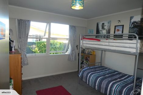 Photo of property in 28 Alma Street, Renwick, 7204